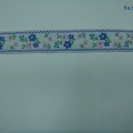 CYY0681