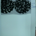 CYY0979