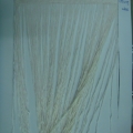 CYY1059-WHITE