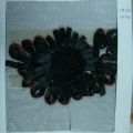 CYY1264-COL.T145