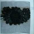 CYY1264-COL.T268