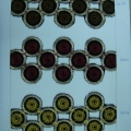 CYY1338-COL.10