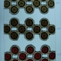 CYY1338-COL.7