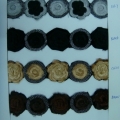 CYY1404-COL.7