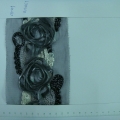 CYY1559