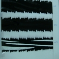 CYY1568