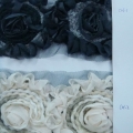 CYY1818-COL.1