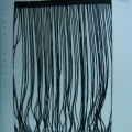 CYY1899