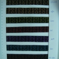 CYY2202