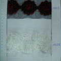 CYY2557-2558