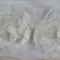 CYY2973