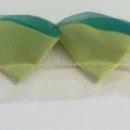 CYY3004