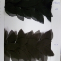 CYY3019-COL.1-COL.2