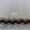 CYY3043