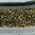 CYY3050