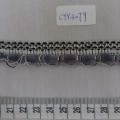 CYY3079