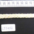 CYY3081