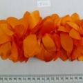 CYY3113