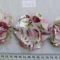CYY3170