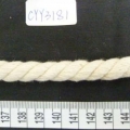 CYY3181