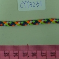 CYY3231