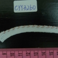 CYY3260