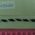 CYY3262