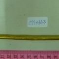 CYY3343