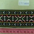 CYY3404