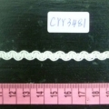 CYY3481