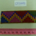 CYY3495
