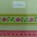 CYY3501