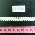 CYY3520