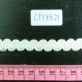 CYY3521