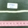CYY3601