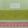 CYY3602