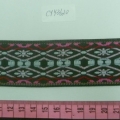 CYY3620