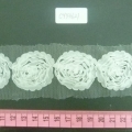 CYY3621