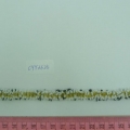 CYY3623