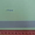 CYY3624