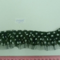 CYY3635