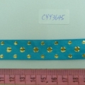 CYY3645