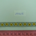 CYY3646