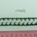CYY3656