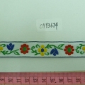 CYY3674