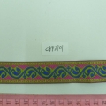 CYY3701