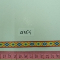 CYY3707