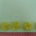 CYY3726