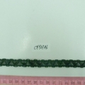 CYY3746