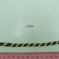 CYY3750